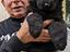 Immagine 26