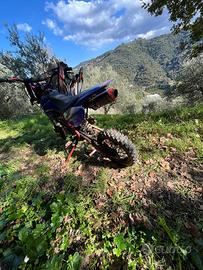 smembro pit bike