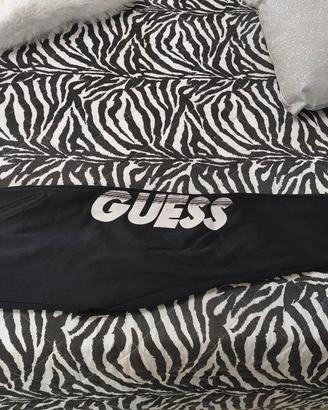 pantalone guess