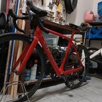 Bici corsa de rosa protos