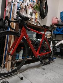 Bici corsa de rosa protos