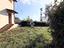 Immagine 30