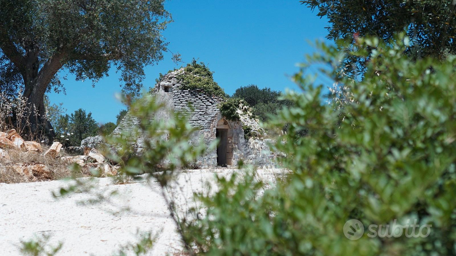Trulli rustici - Vista 3