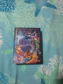 Il libro segreto delle fate delle stelle