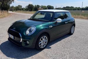 Mini 1.5 One D Hype