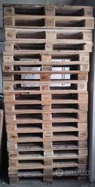 Bancali EPAL e Eur usati 80x120x15 cm in Legno Ped