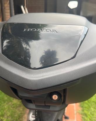 BAULETTO HONDA