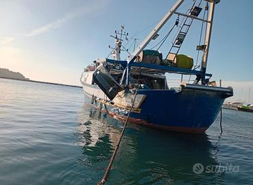 Vendita peschereccio a strascico