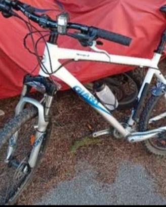 MTB Giant Terrago 26 