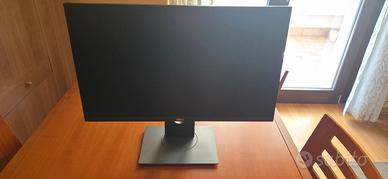 Monitor DELL modello P2419H - 24 pollici