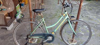 bici da passeggio 28 pollici