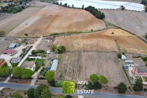 Sabaudia (LT) - Terreno 2 HA fronte strada | TR445