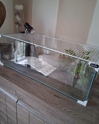 teca in vetro per tartarughe