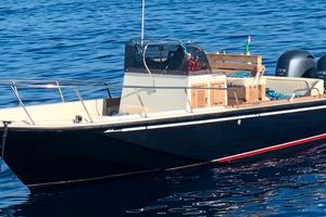 BOSTON WHALER OUTRAGE 22 - Refitting