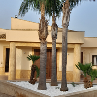 Appartamento in villa