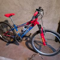 Bicicletta da bambino bottecchia