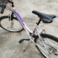numero 2  Mountain bike da donna 