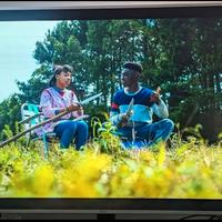 TV Samsung mu6400 65 pollici