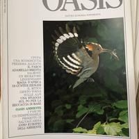 Oasis dal 1987 al 1994