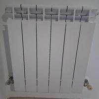 Radiatore Termosifone 6 elementi in alluminio 