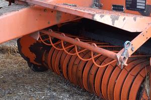 Rotopressa gallignani