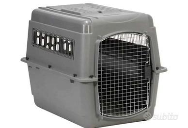 kennel in resina tg media