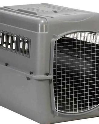 kennel in resina tg media