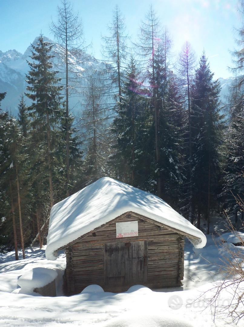 Rustico Fienile Baita Cadore Dolomiti bosco - Altro