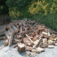 legna da ardere di qualità leccio quercia noce 