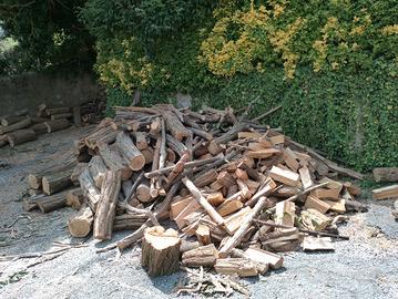 legna da ardere di qualità leccio quercia noce 