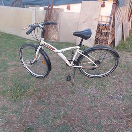 Bicicletta uomo