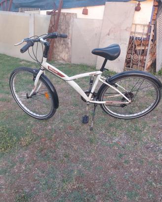 Bicicletta uomo