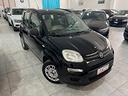 fiat-panda-1-3-75-cv-lounge-2013