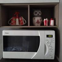 forno a microonde.