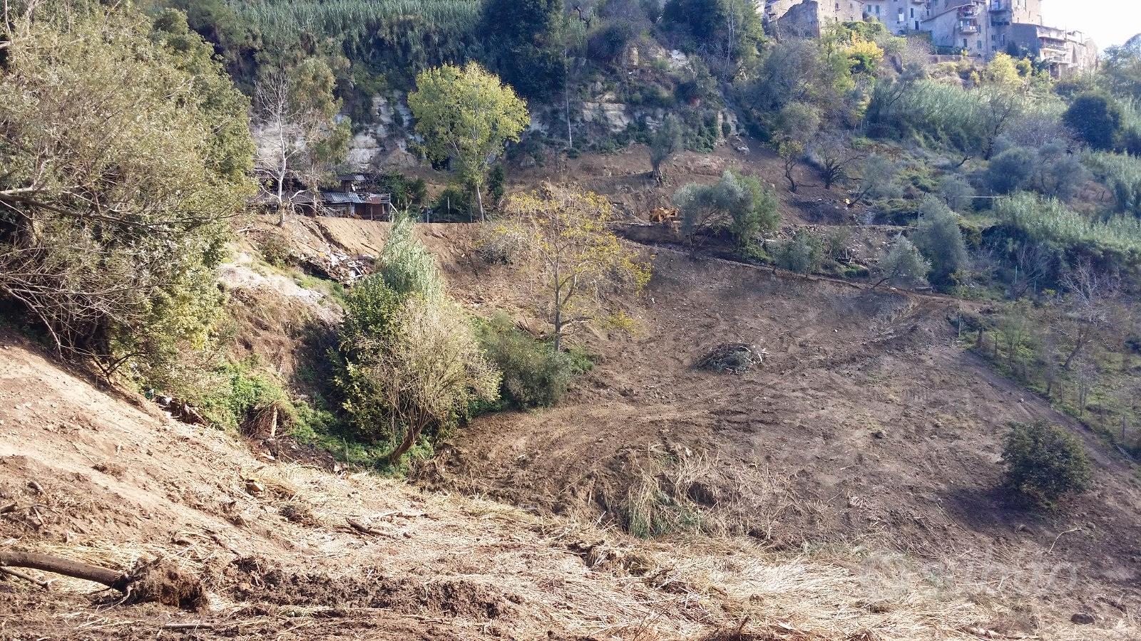 Si vende terreno agricolo con casa rurale - Vista 6