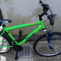 bici primula mtb raggio 26"