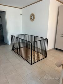 Recinto Kennel per cani