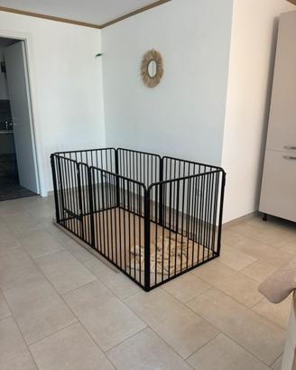 Recinto Kennel per cani