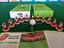 Immagine 6