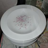 servizio di porcellana di 40 pezzi 