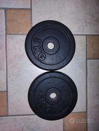 Dischi 5 kg