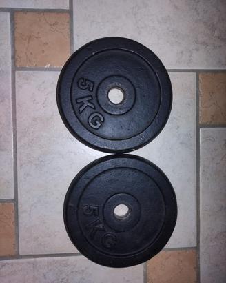 Dischi 5 kg