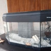 acquario completo 