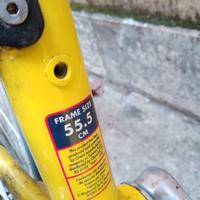 Bicicletta Giaint Once tg.55,5