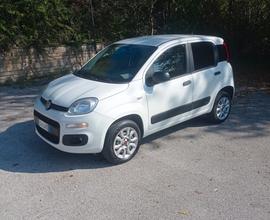 Fiat Panda 4x4 del 2020