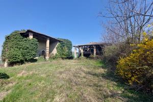 RUSTICO A MONTE SAN PIETRO