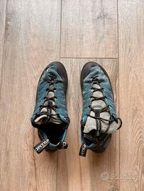 Scarpetta Tarantulace