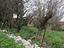 Immagine 29