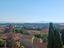 Immagine 7