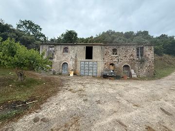 Terreno agricolo